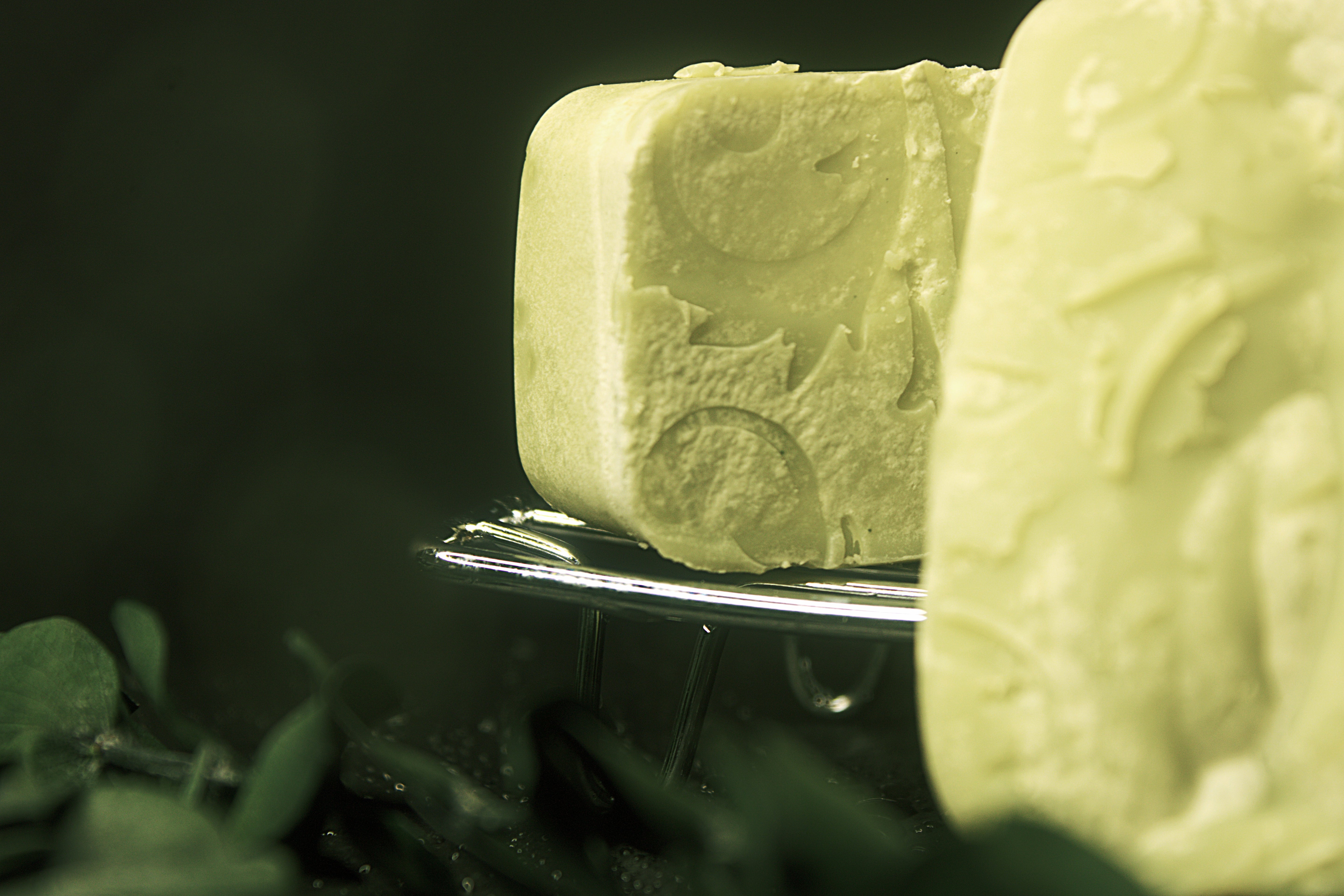 Bath House - Eucalyptus • Tea Tree • French Green Clay