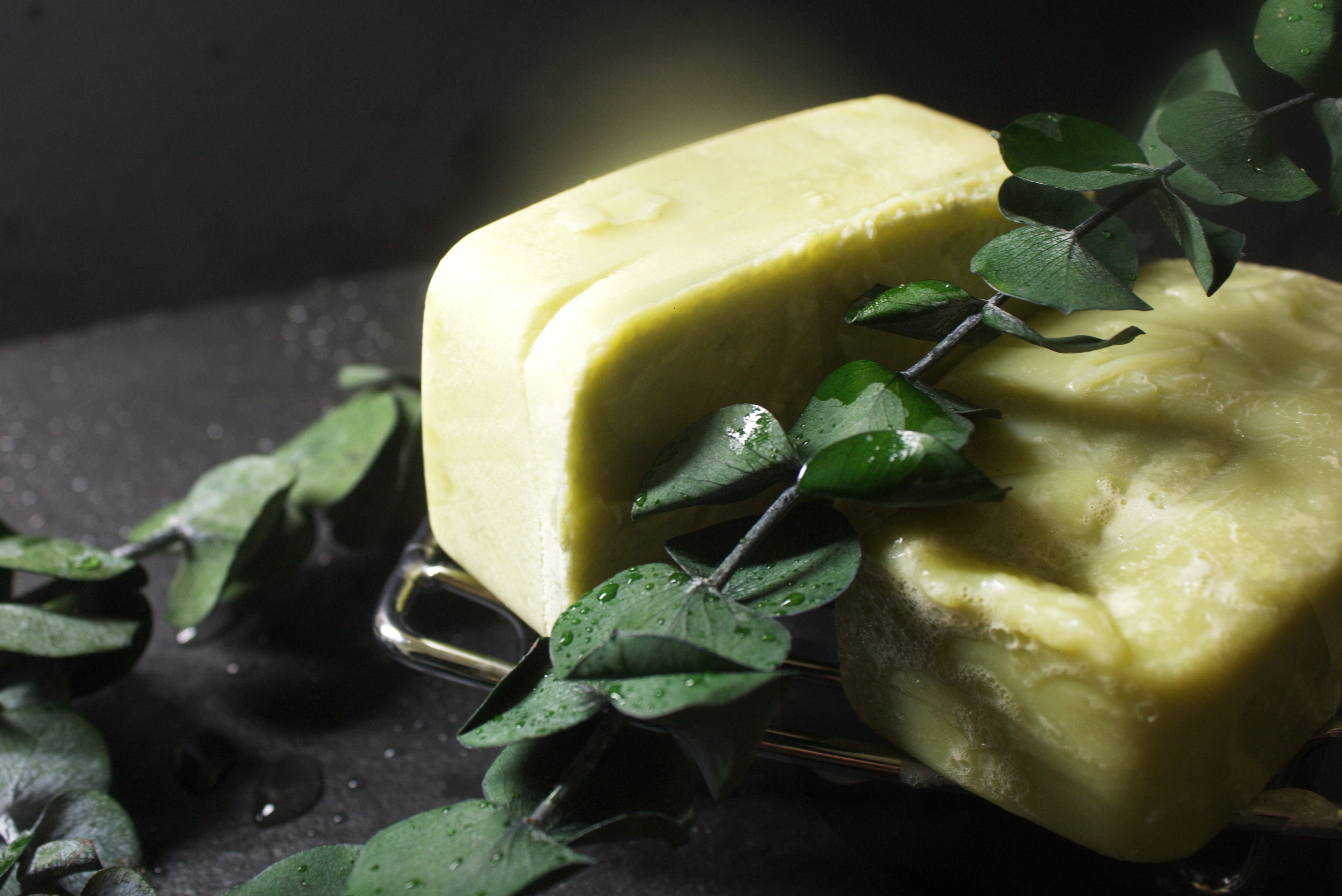 Bath House - Eucalyptus • Tea Tree • French Green Clay