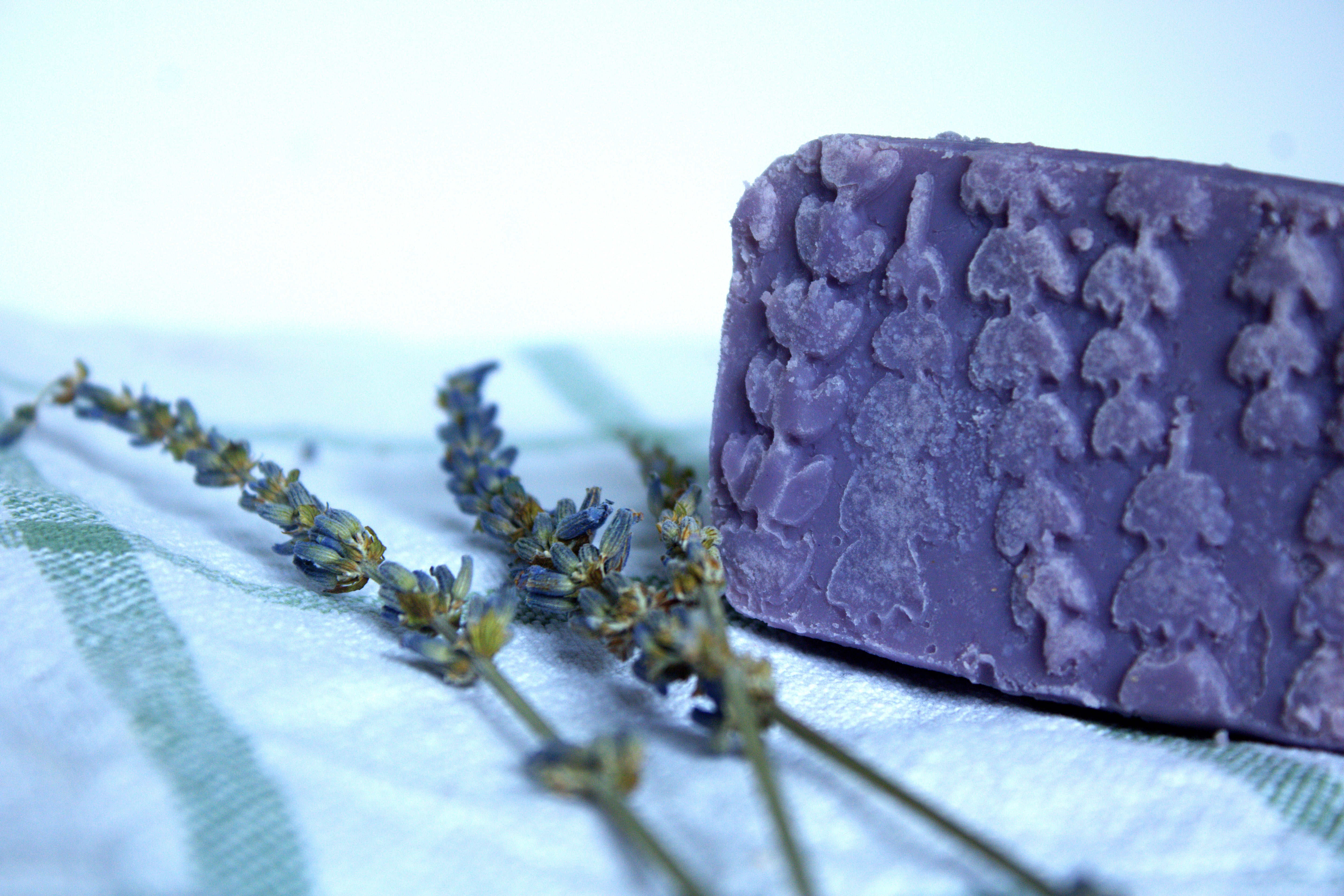Bliss - Lavender • Purple Clay
