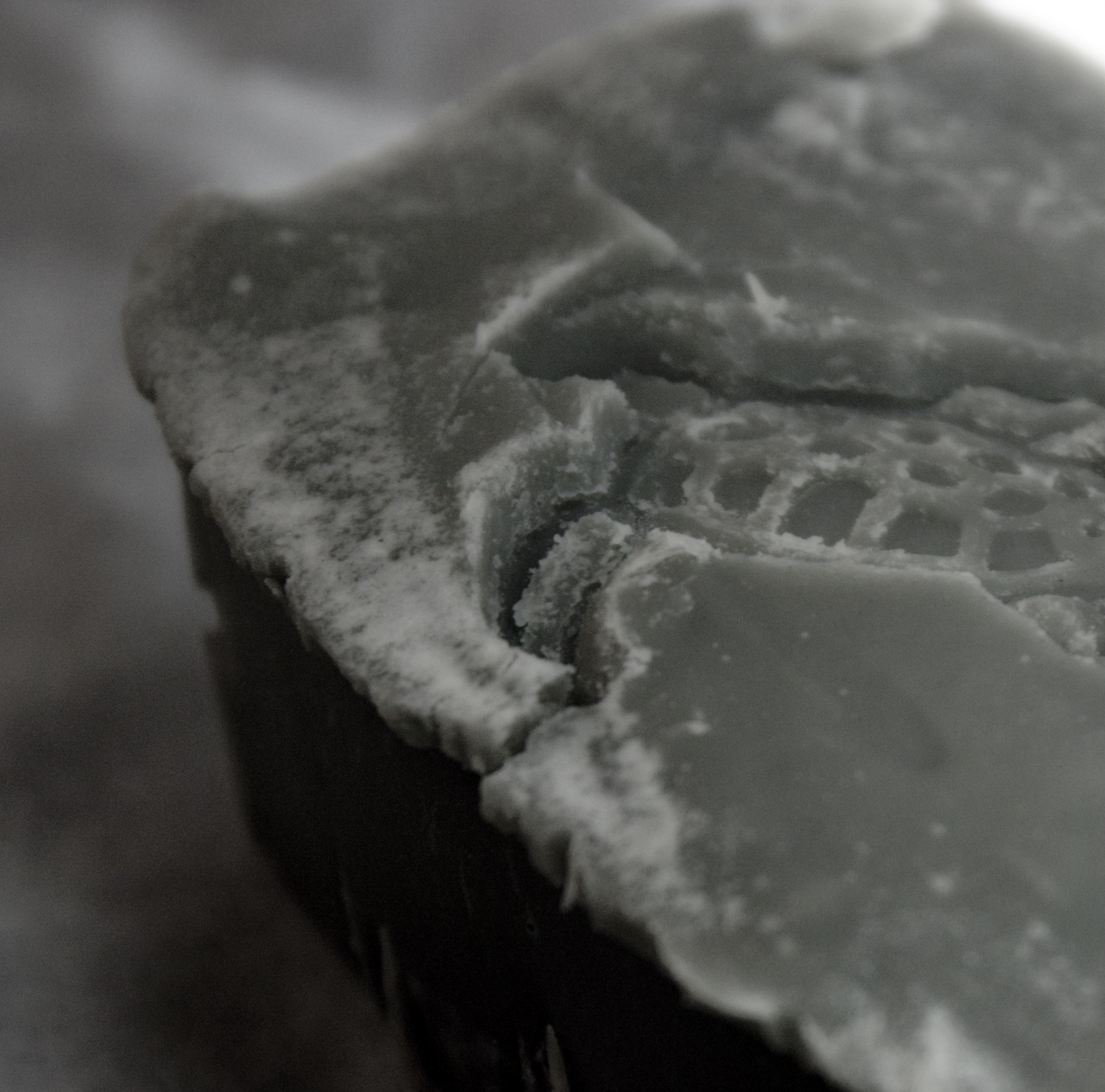 Land and Sea - Unscented • Black Clay • Sea Clay